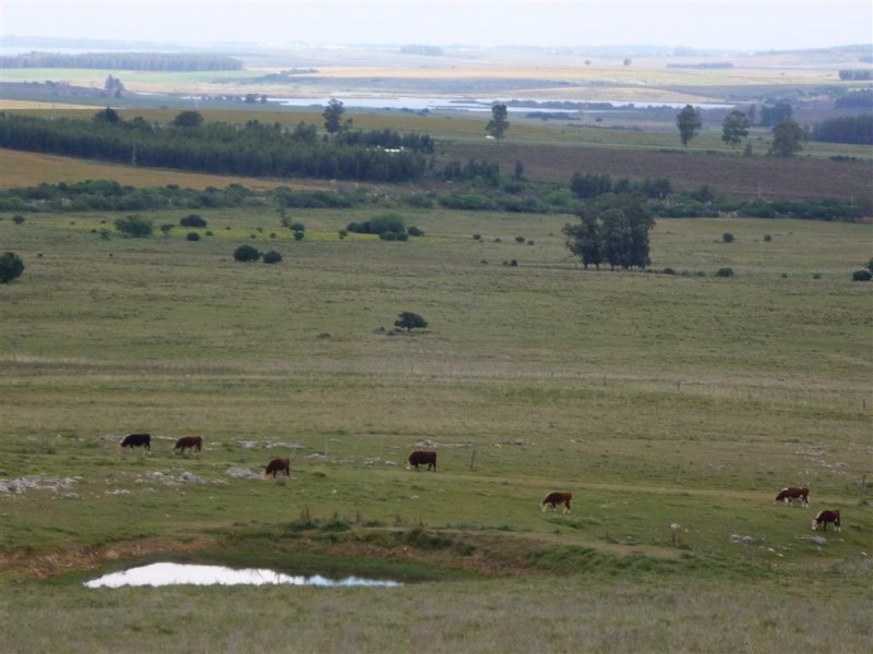 Chacra en venta cercana a Ruta 12